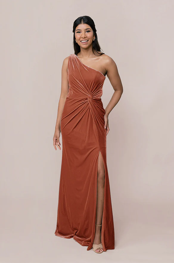 Florence Velvet Dress | Made To Order - Image 13